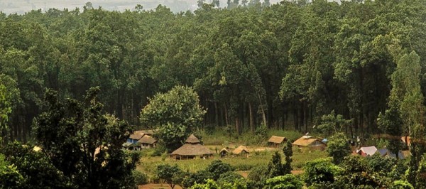 Jim Corbett Special Tour