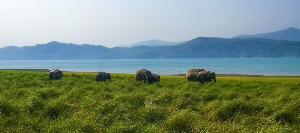 Jim Corbett Corporate Tour